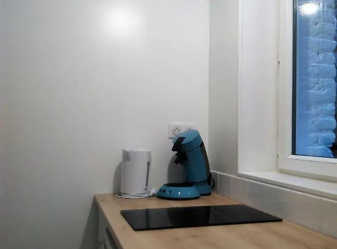 L'établissement La A 2 Pas , Vous Propose 4 Neufs Avec Services , Lits Faits à Votre Arrivée , Serviettes De Toilette , Ménage , Wifi , En Hyper Centre , Vue à 50m , Est Accessible à Pied Appartement